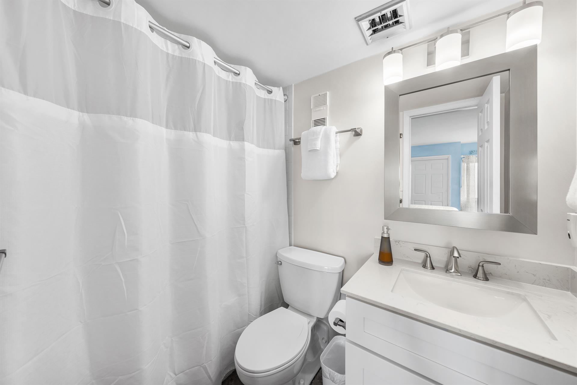 Master Bathroom with showertub combo