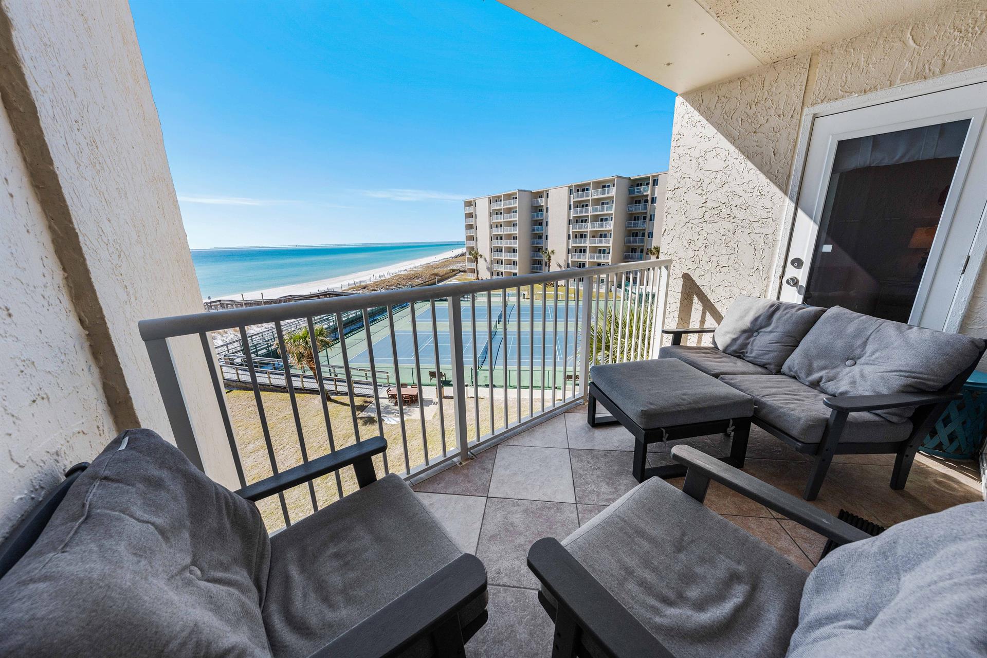 Watch the Dolphins Play