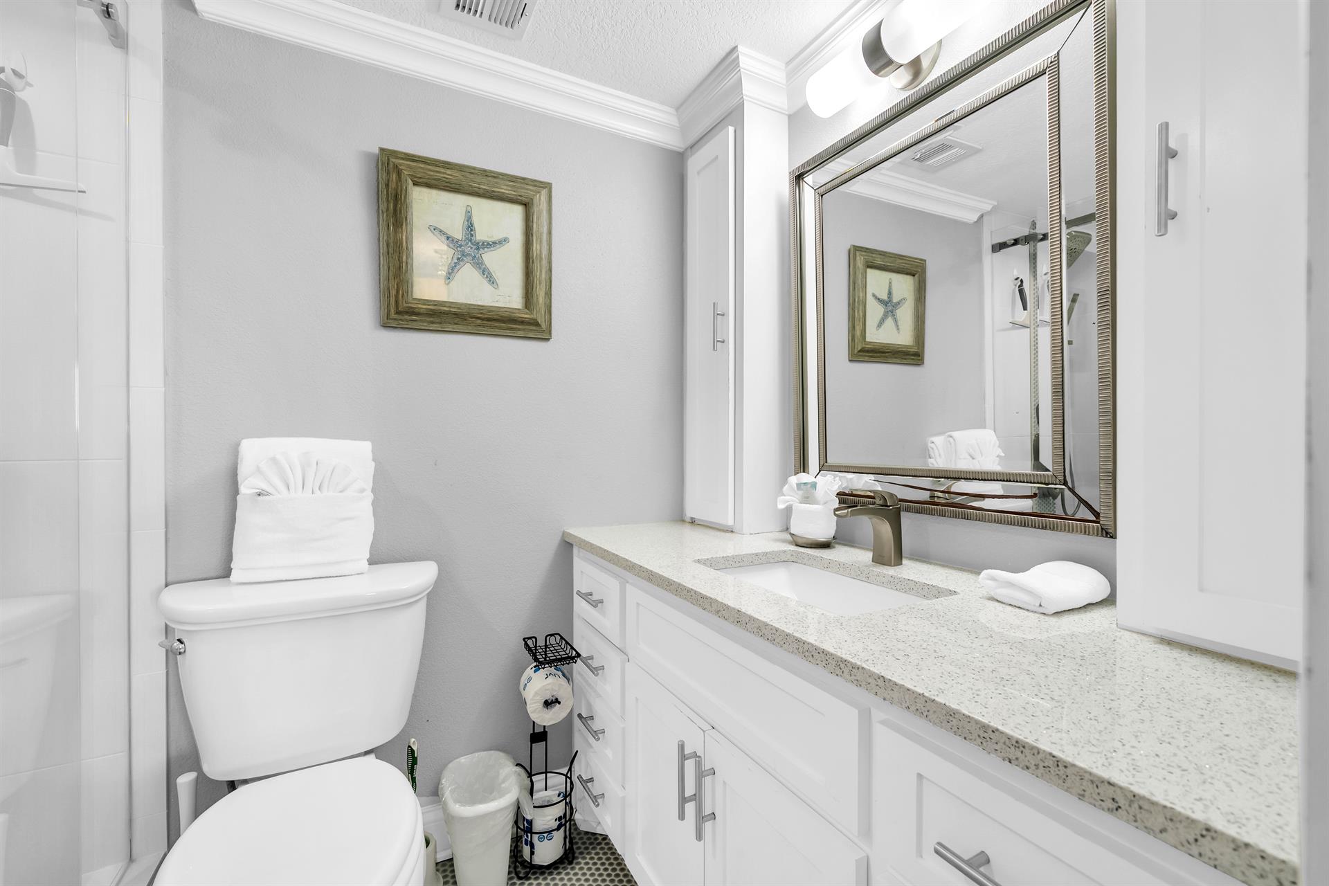 Master bathroom countertop