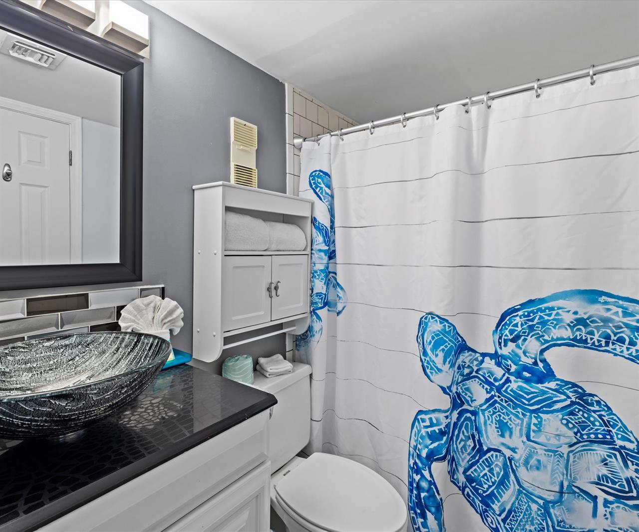 HSRC 619 Bathroom