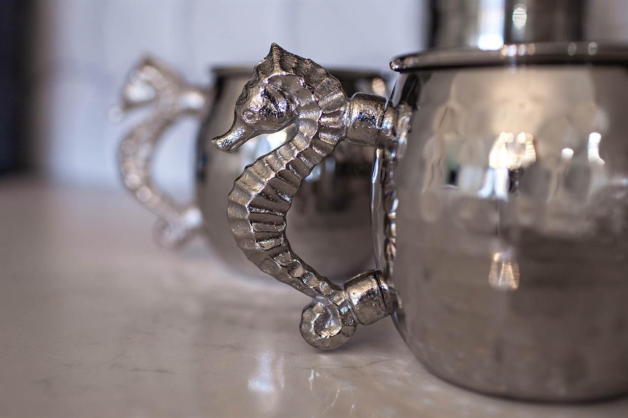 HSRC Seahorse Decor