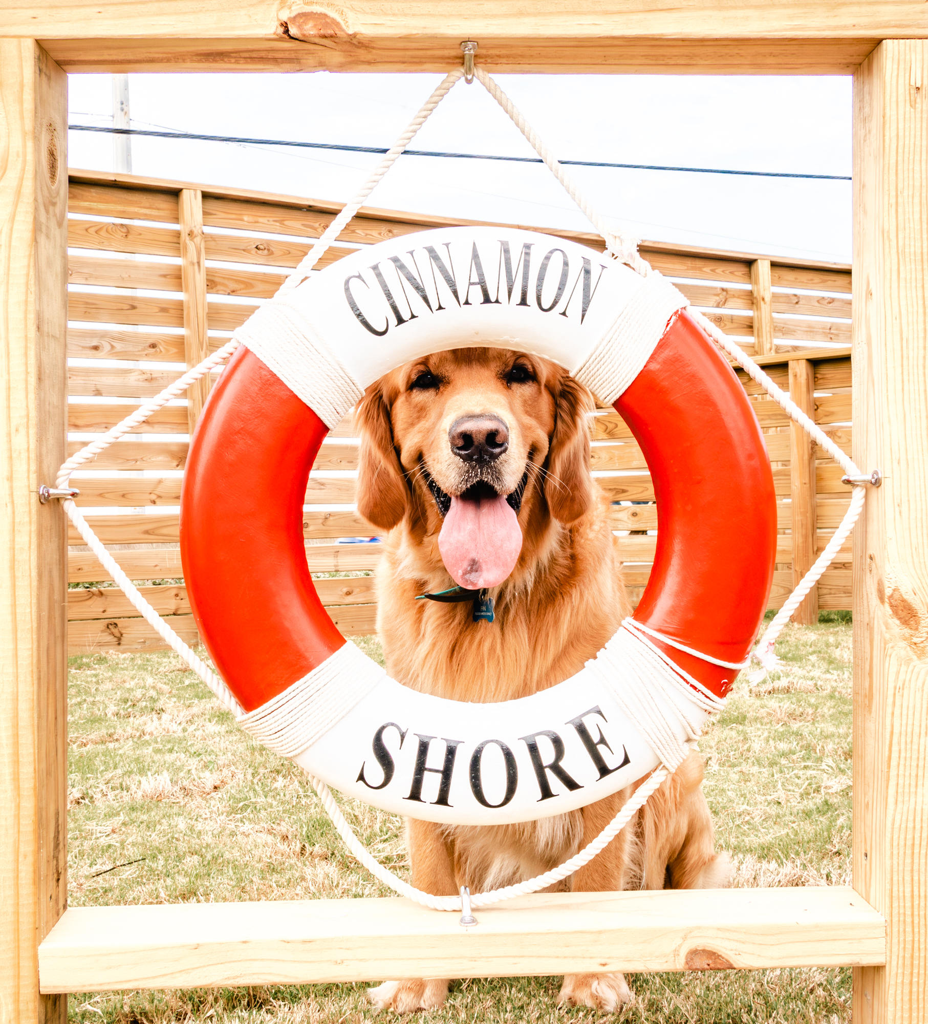 dog park cinnamon shore port aransas 