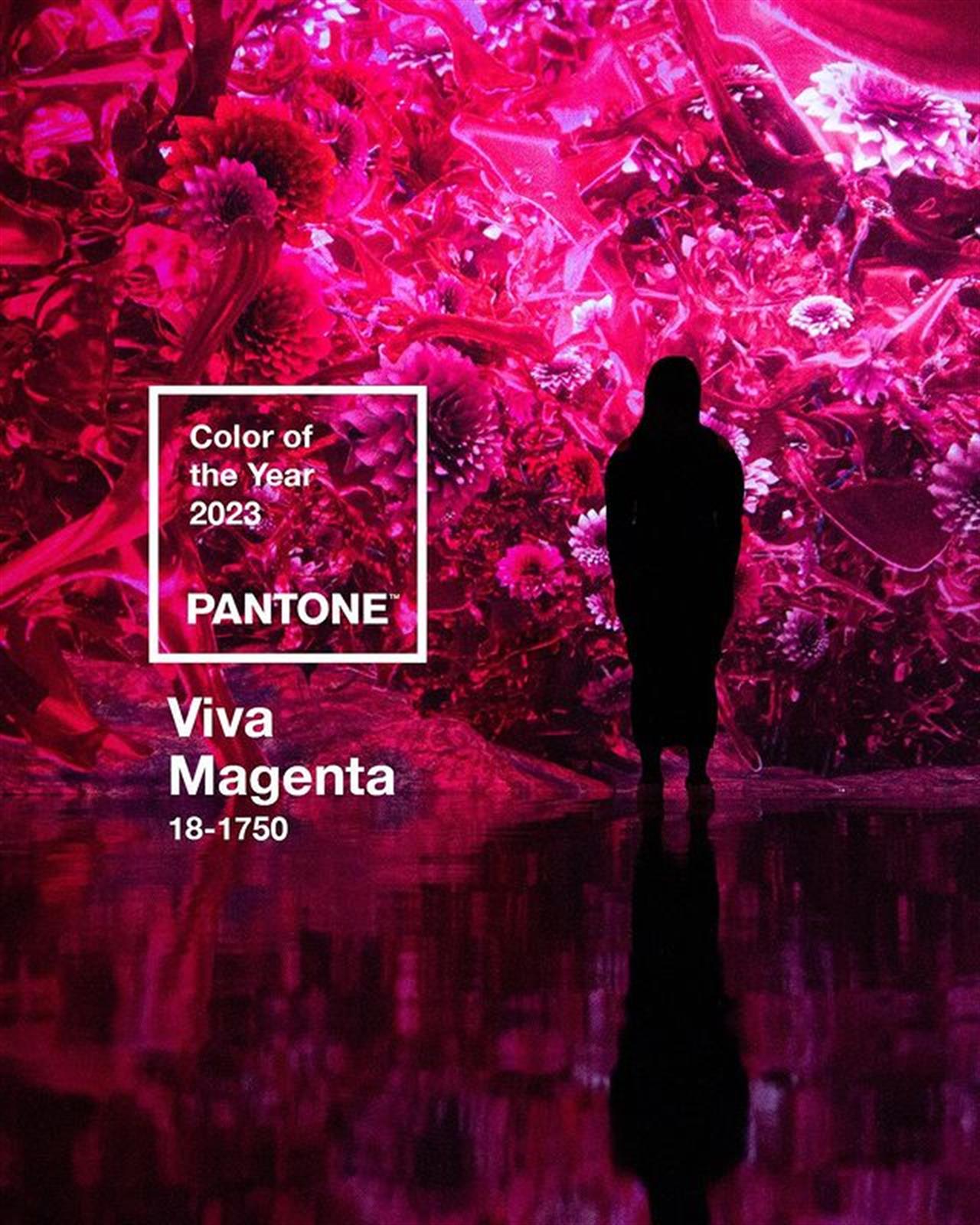 Pantone's 2023 Color of the Year Is Viva Magenta - The New York Times