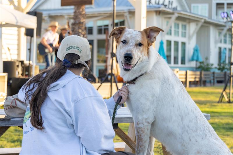 Cinnamon Shore Vacation Specials