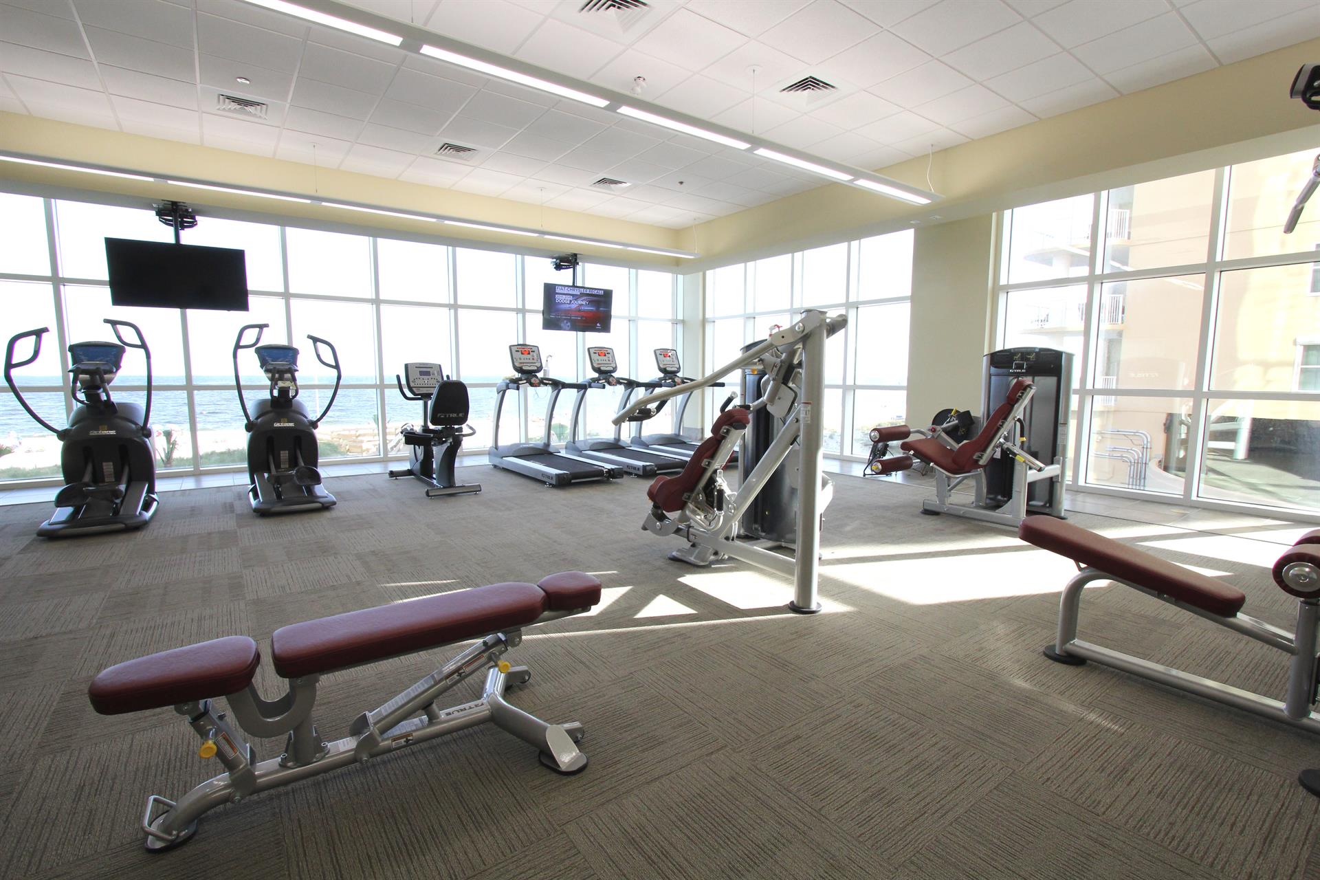 Phoenix Gulf Shores 1901