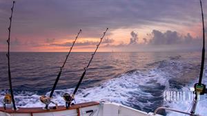 8034 Reel Commocean Deep Sea Fishing Charters S