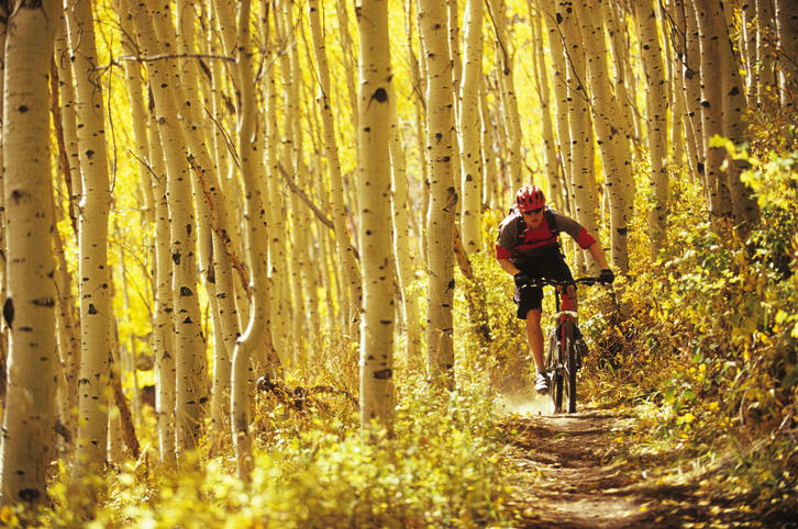 Mountain biking in Park City, Utah  Scott Markewitz/Getty Images