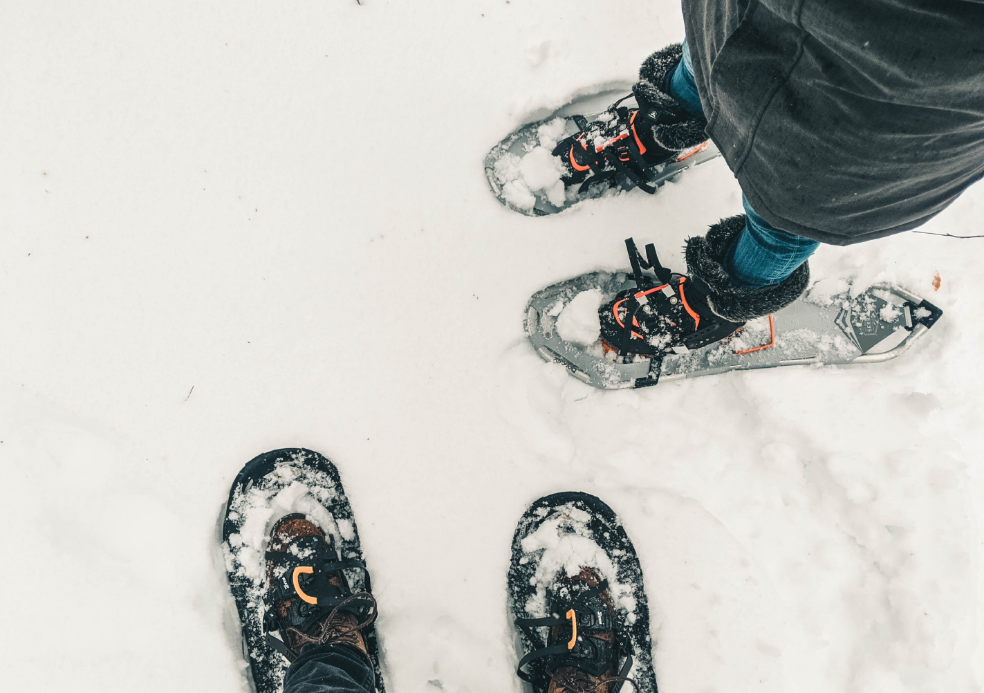 Two people wearing snowshoes.