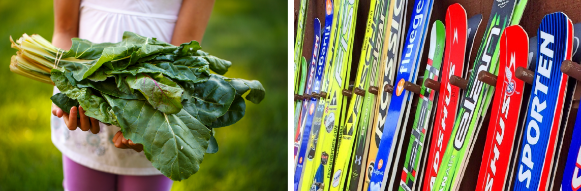 A photo collage of a young girl holding locally grown Swiss chard and a second image showing JANS snowboard selection.