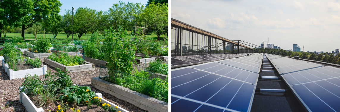 Organic garden in Park City and park City Lodging's rooftop solar panels.