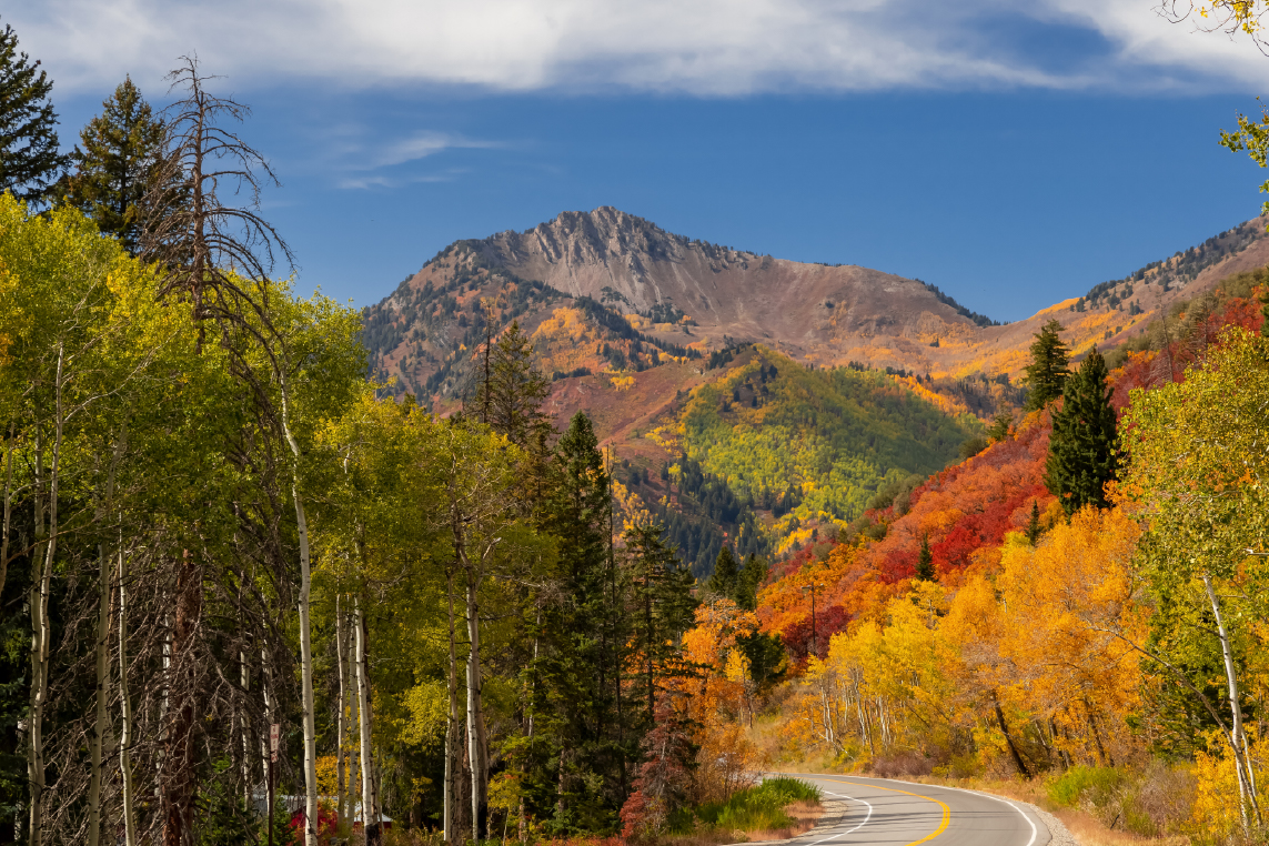 A road leads through Park City mountains in the fall that have trees covered in vibrantly colored leaves. 