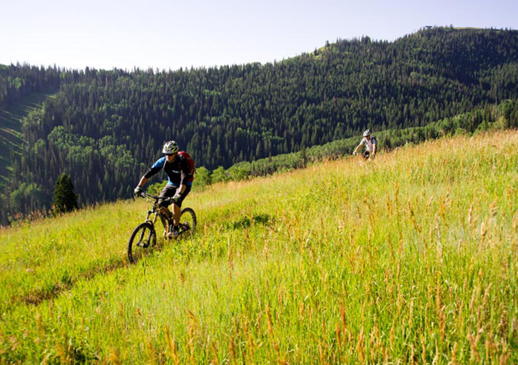 Two bicyclists bike along field trail surrounded by tall green grass on mountain.