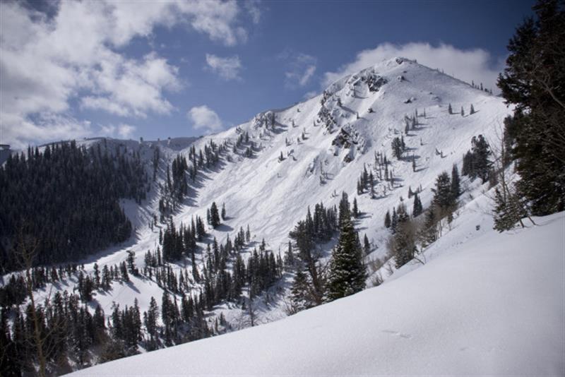 Snow capped peaks