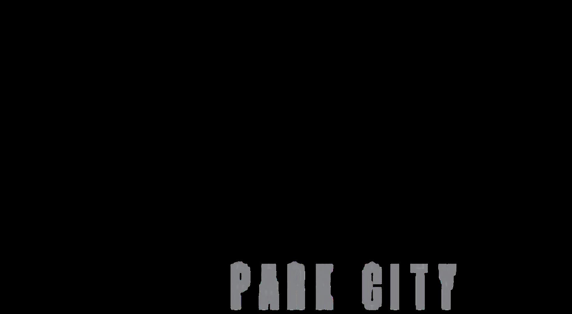 dishinglogoParkCIty