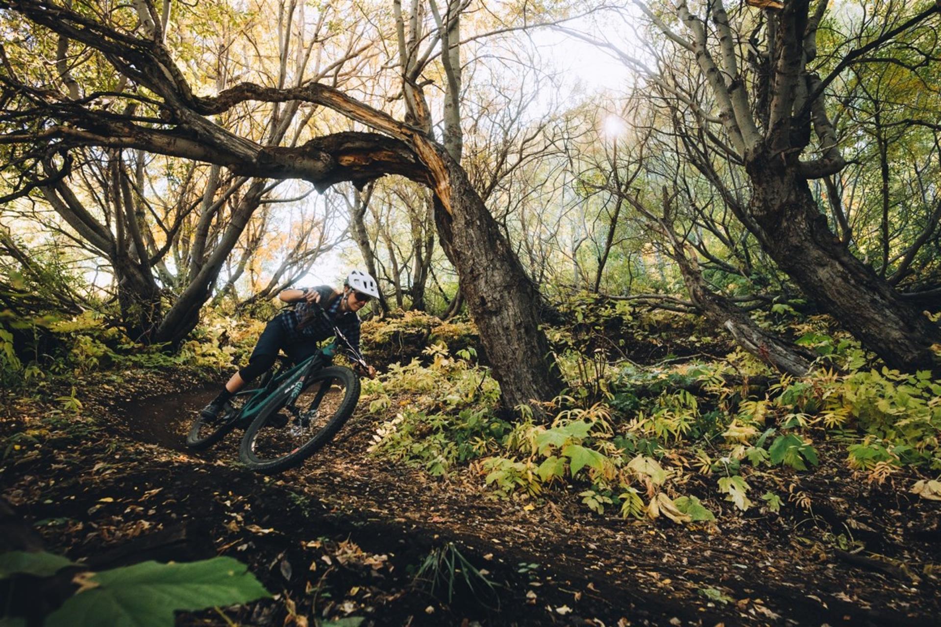 Bike Mag Bike Mag