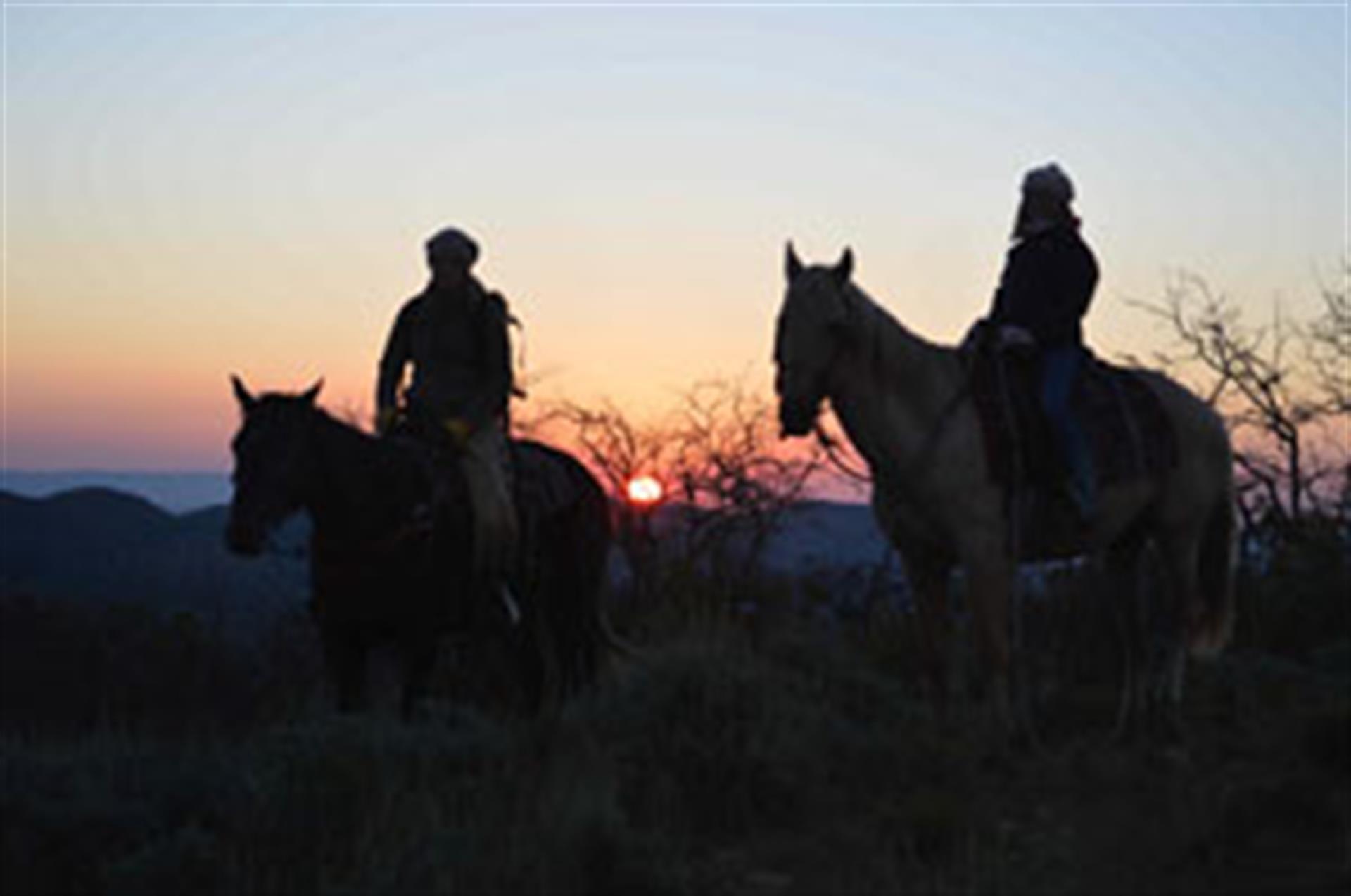 Rocky Mountain Outfitters Sunrise on Horse Rocky Mountain Outfitters Sunrise on Horse