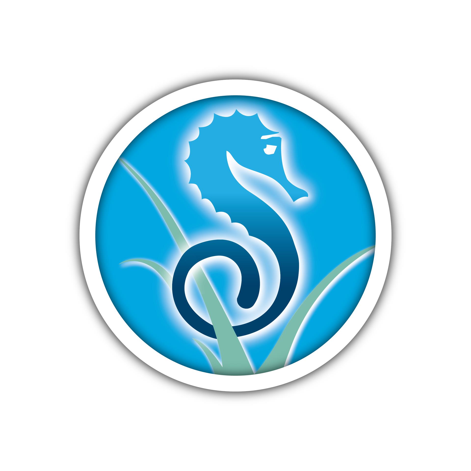 Blue Seahorse Logo