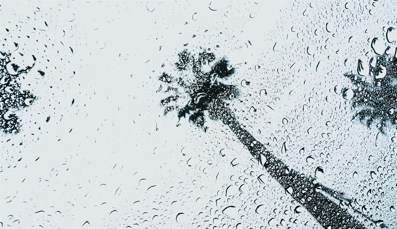 2777 Rainy Day At Miramar Beach Vacation Rentals B