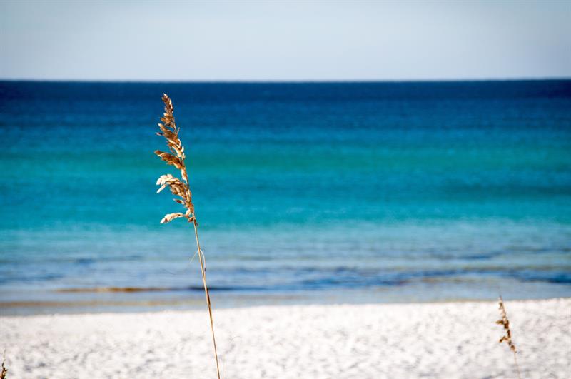 2781 Miramarbeachthanksgivingvacation M