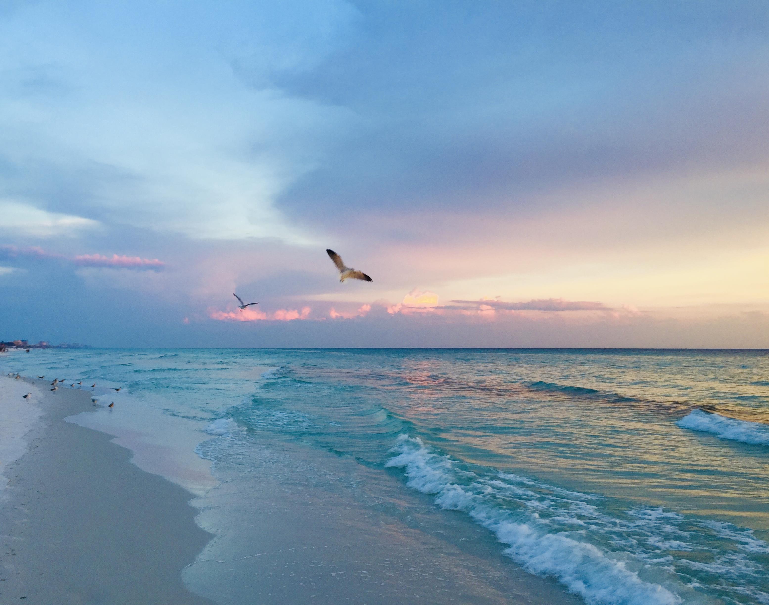 Winter In Miramar Beach: Activities and Experiences