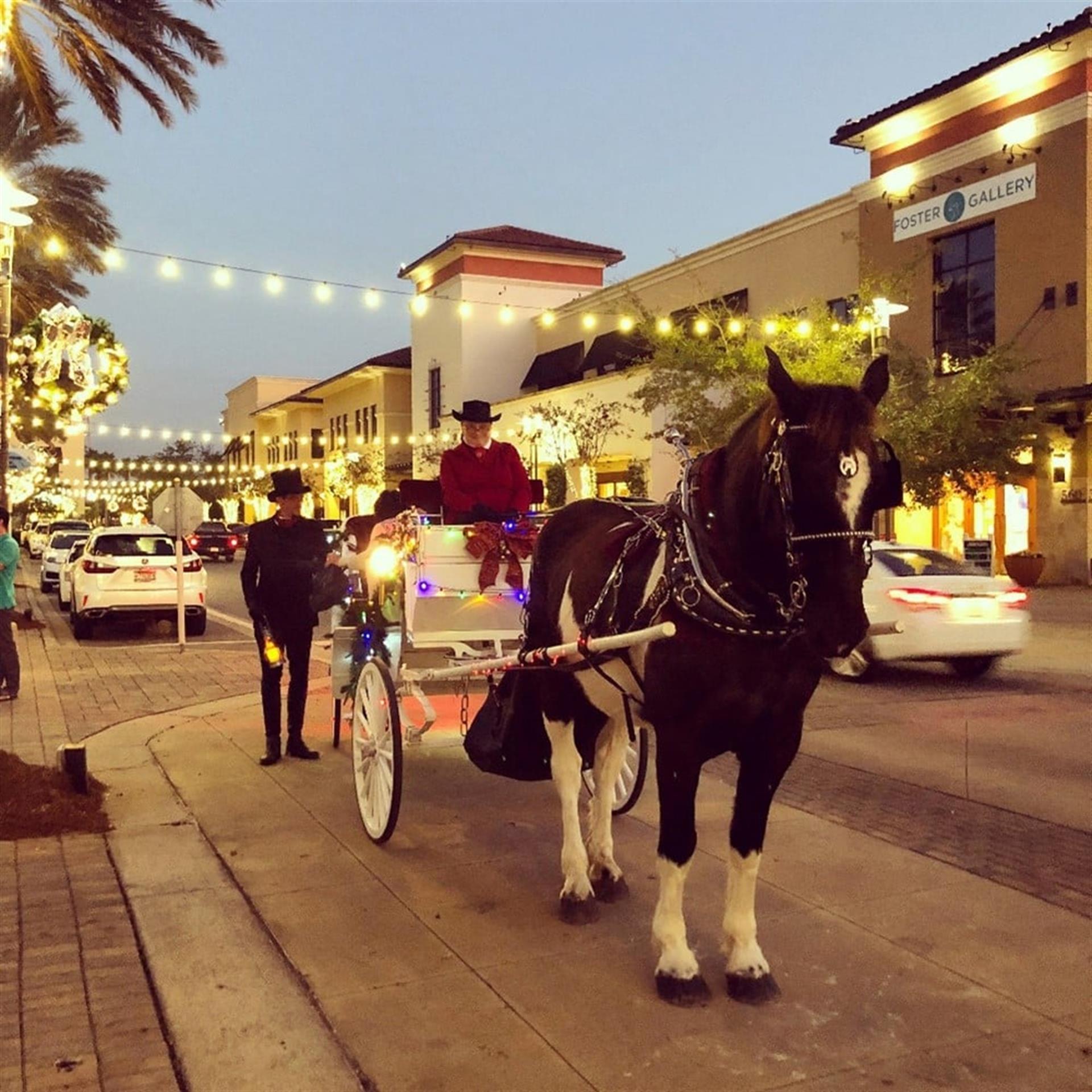 HorseDrawnCarriageatGrandBoulevard