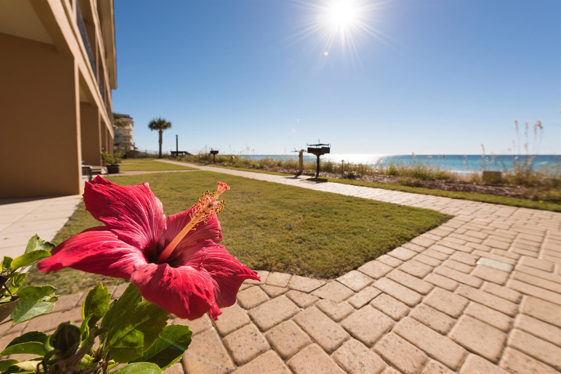 Beachfront patio