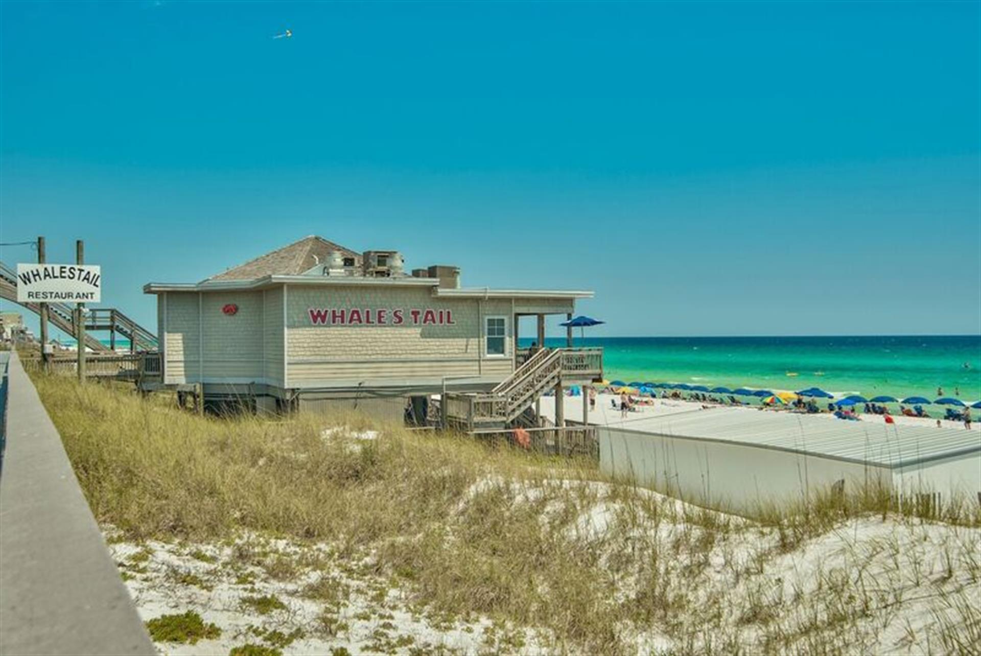 Drive the Golf Cart to Whales Tail Beach Front Restaurant