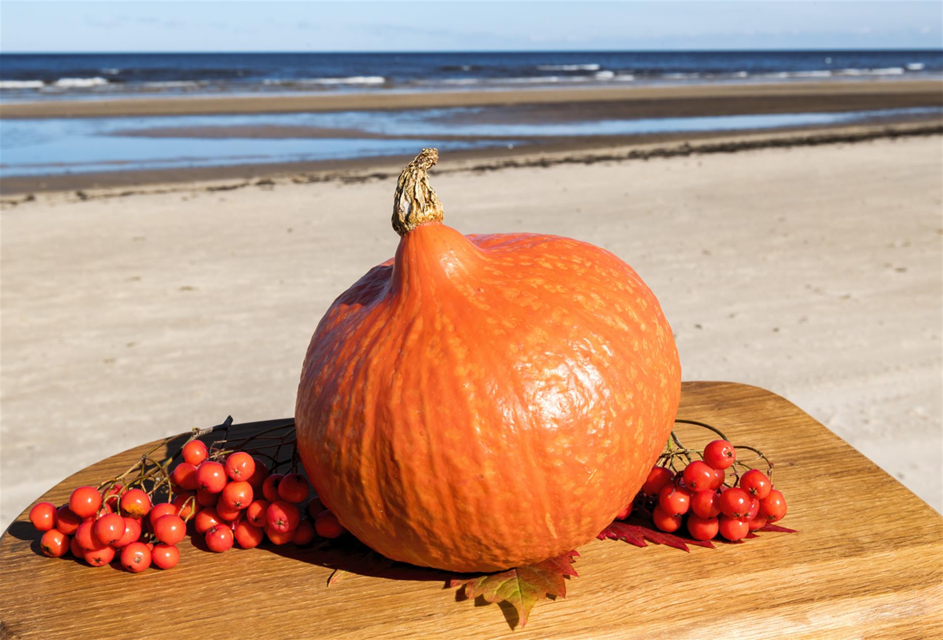 Celebrate Thanksgiving at Frangista Beach vacation rentals