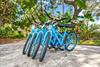 4 Bicycles Included with Rental Home Seasonally