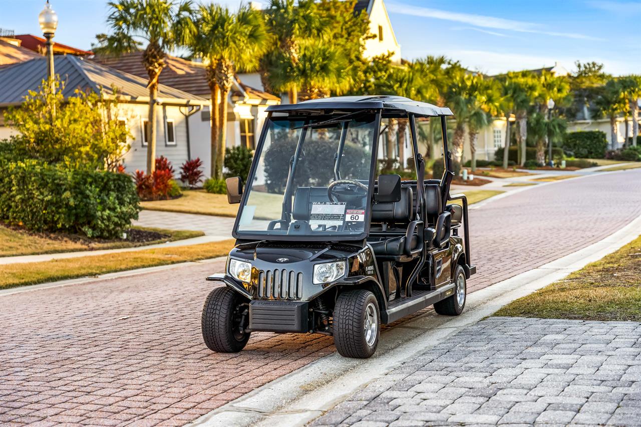 Six Seat Golf Cart For You