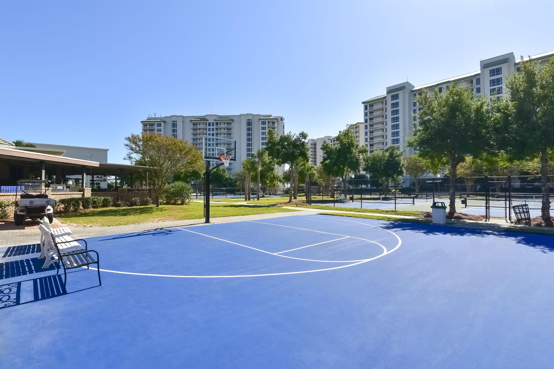 Basketball Court