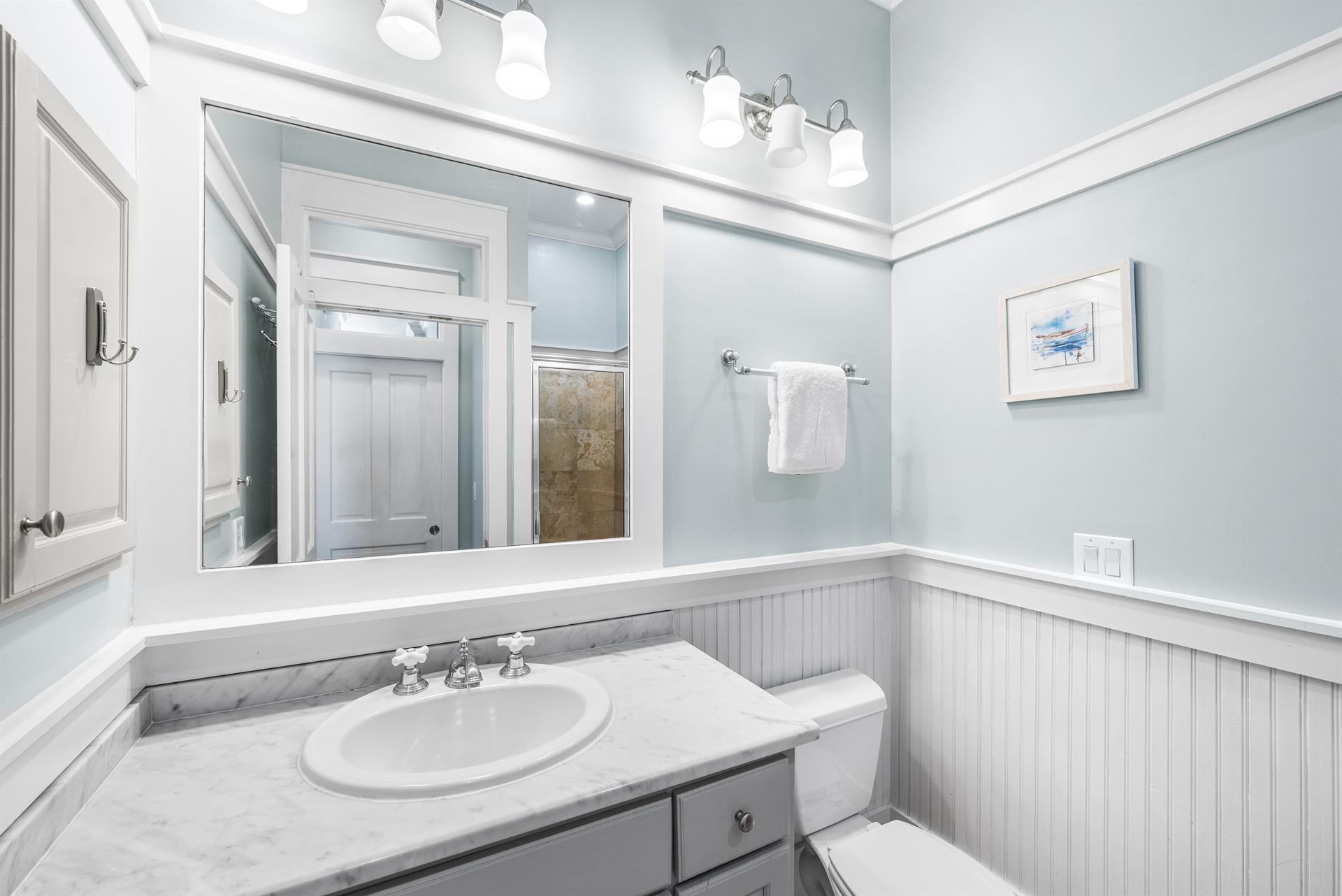 Second Floor Bath and Shower for the King Bedroom.