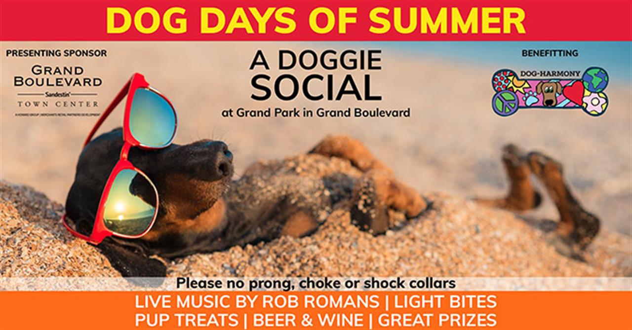 76290 Dogdaysofsummer675x353 B