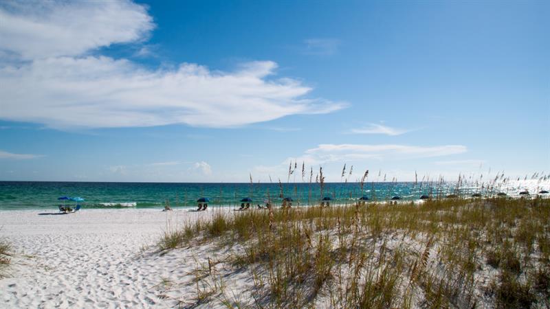 76351 Miramarbeach M