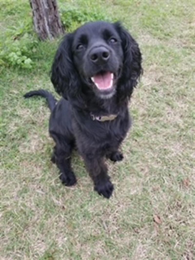 94271 Frangista Beach Vacation Rentals Are Petfriendly M