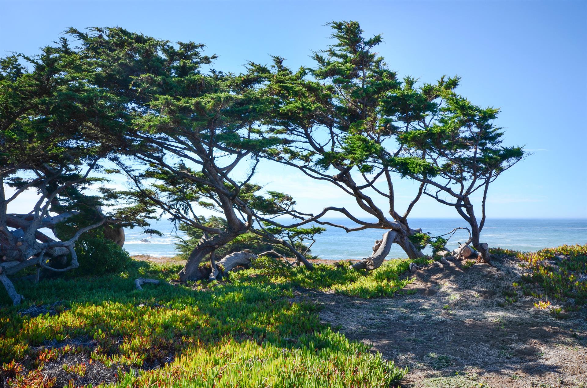 Bodega Bay Beach House