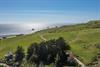 DJI_0221