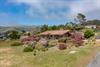 DJI_0344