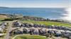 DJI_20241107150956_0270_DEdit