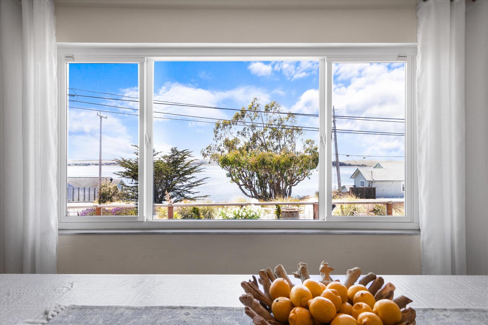 045700 CA1, Bodega Bay, CA, 94923  Digital Twinners45