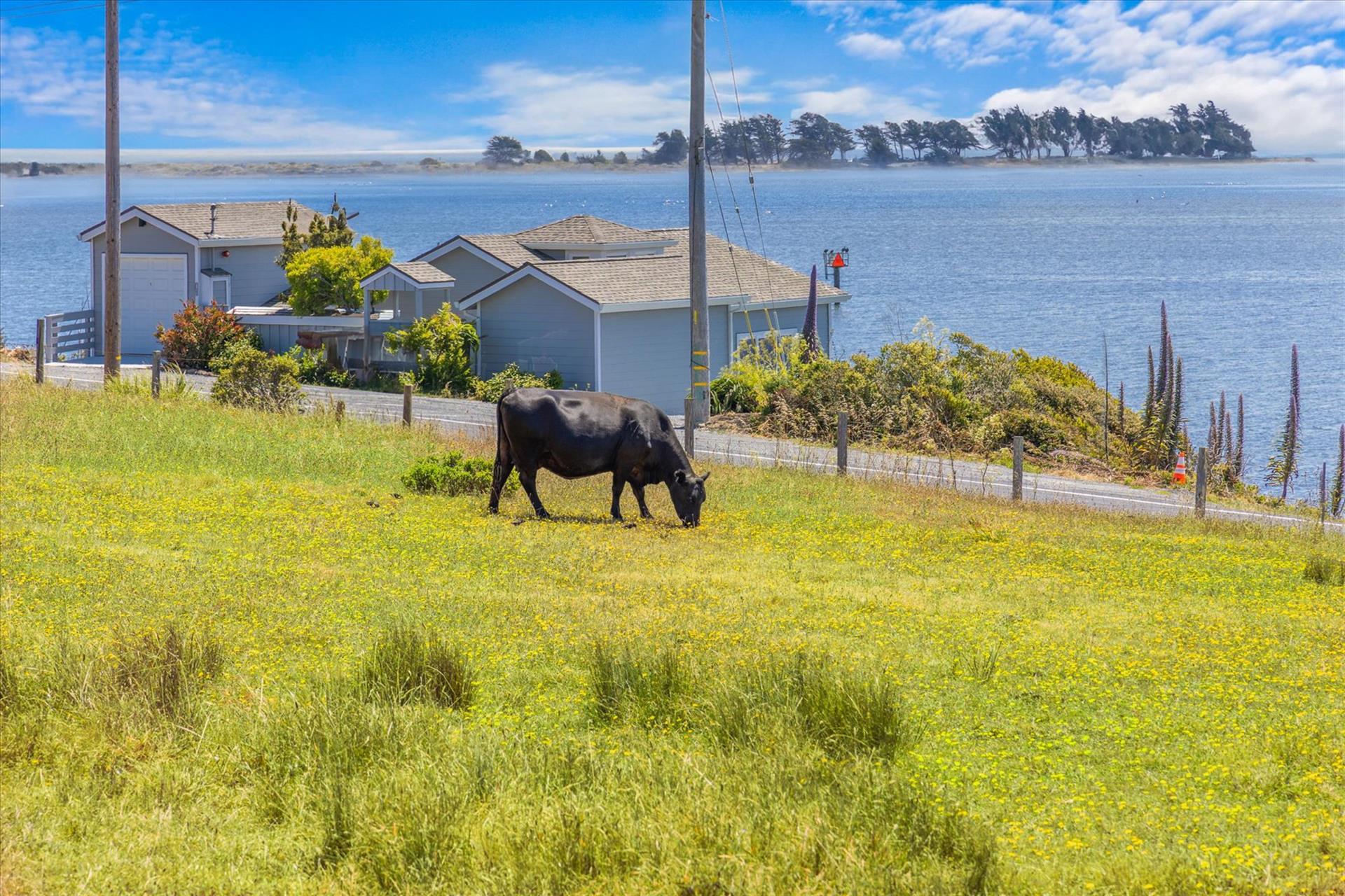 074700 CA1, Bodega Bay, CA, 94923  Digital Twinners74