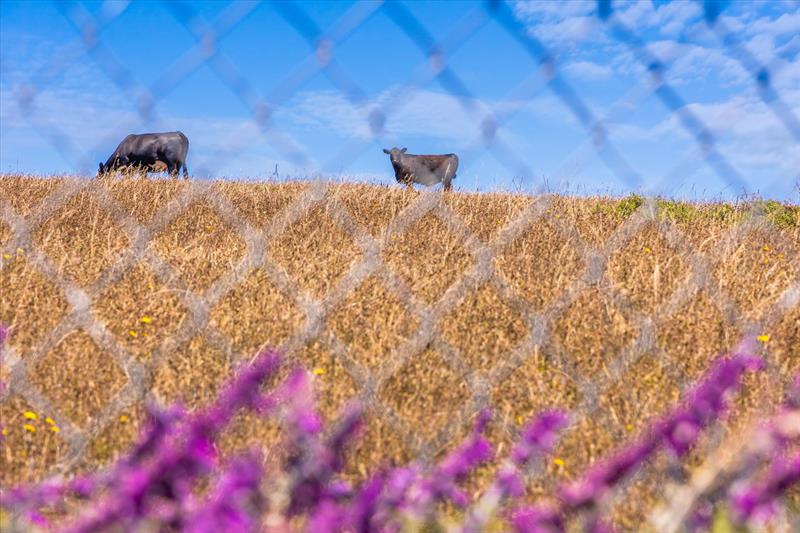 6225 075 700 Ca 1, Bodega Bay, Ca, 94923   Digital Twinners 75 M