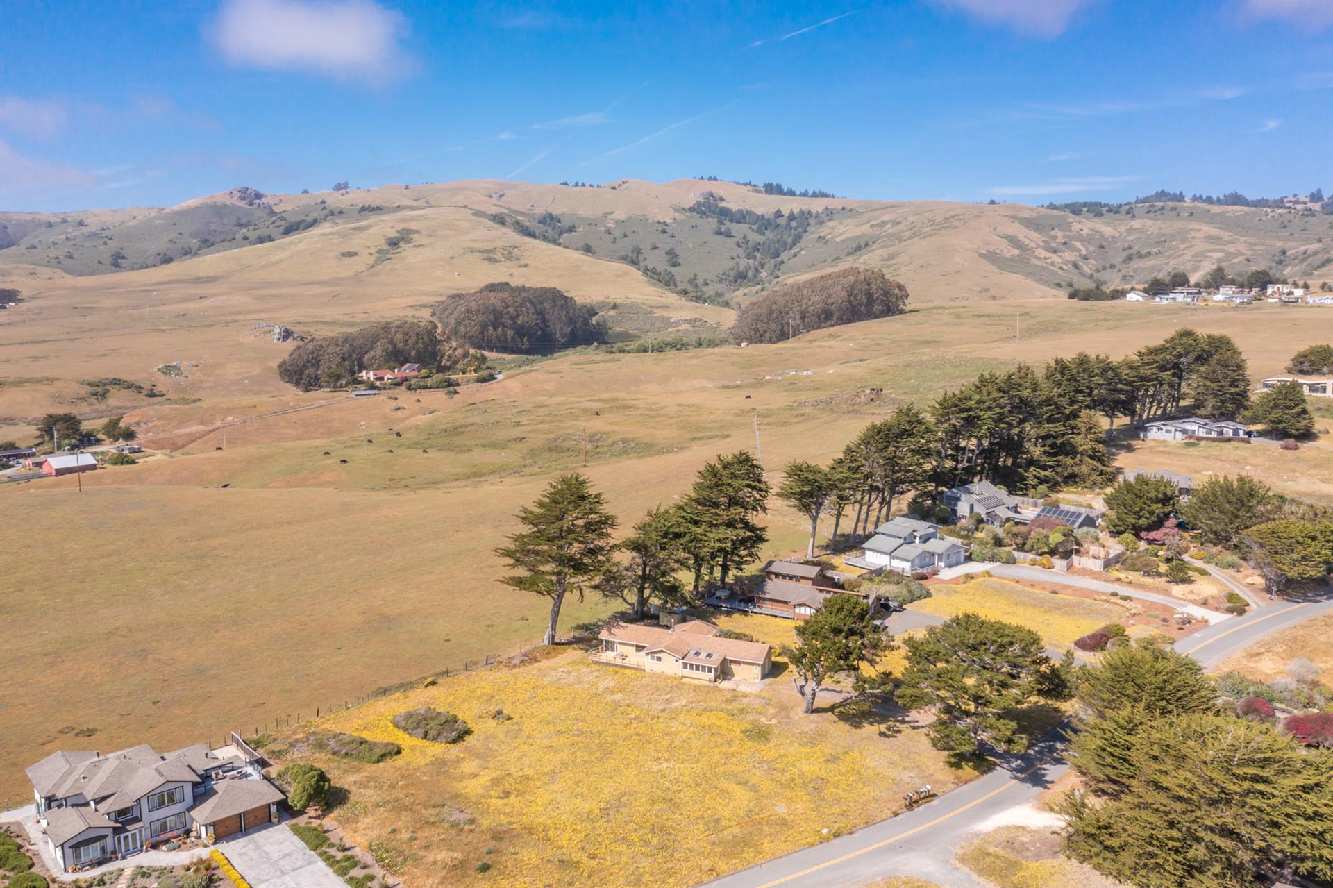 DJI_0856