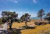 DJI_0863