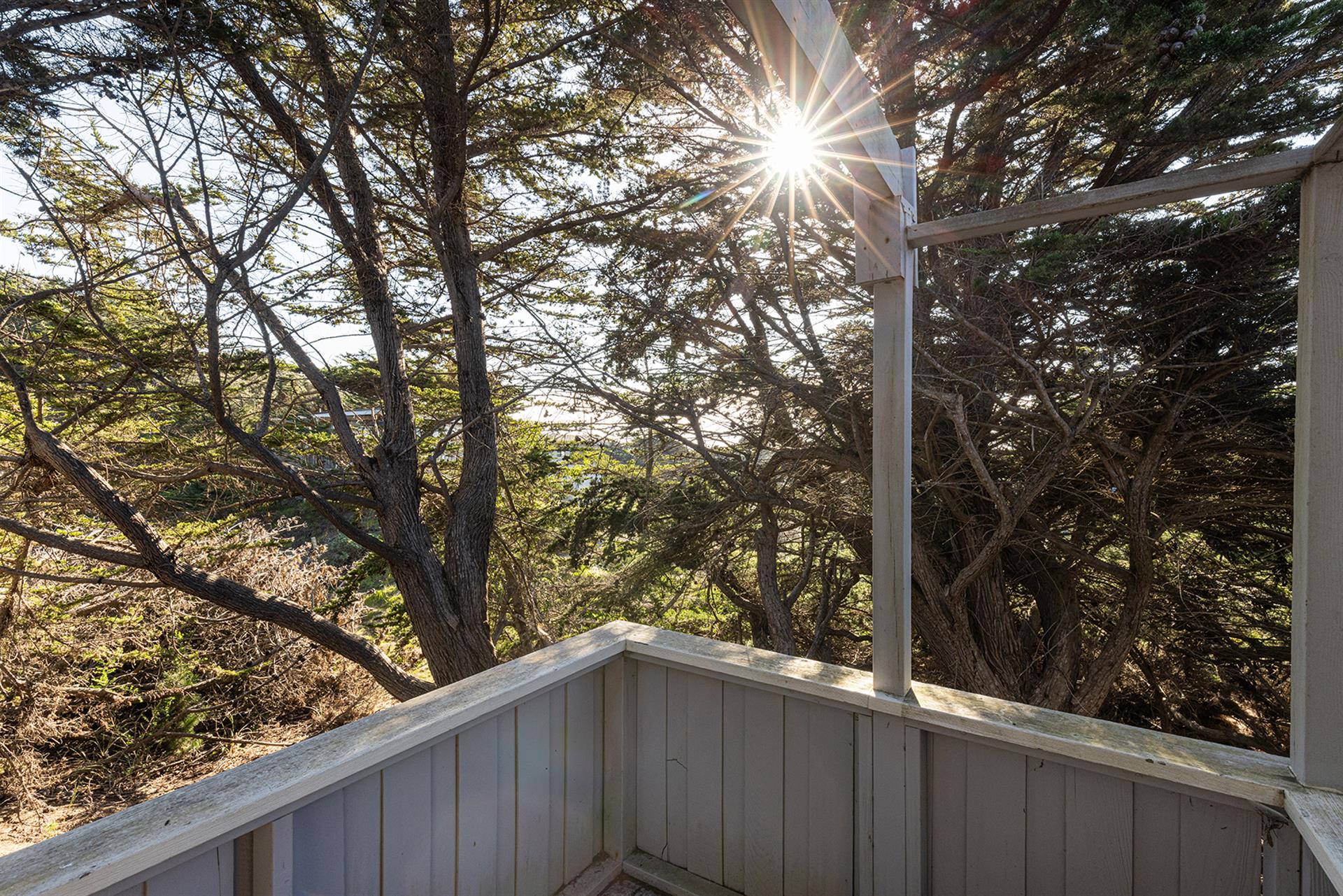 1500 Back Exterior001