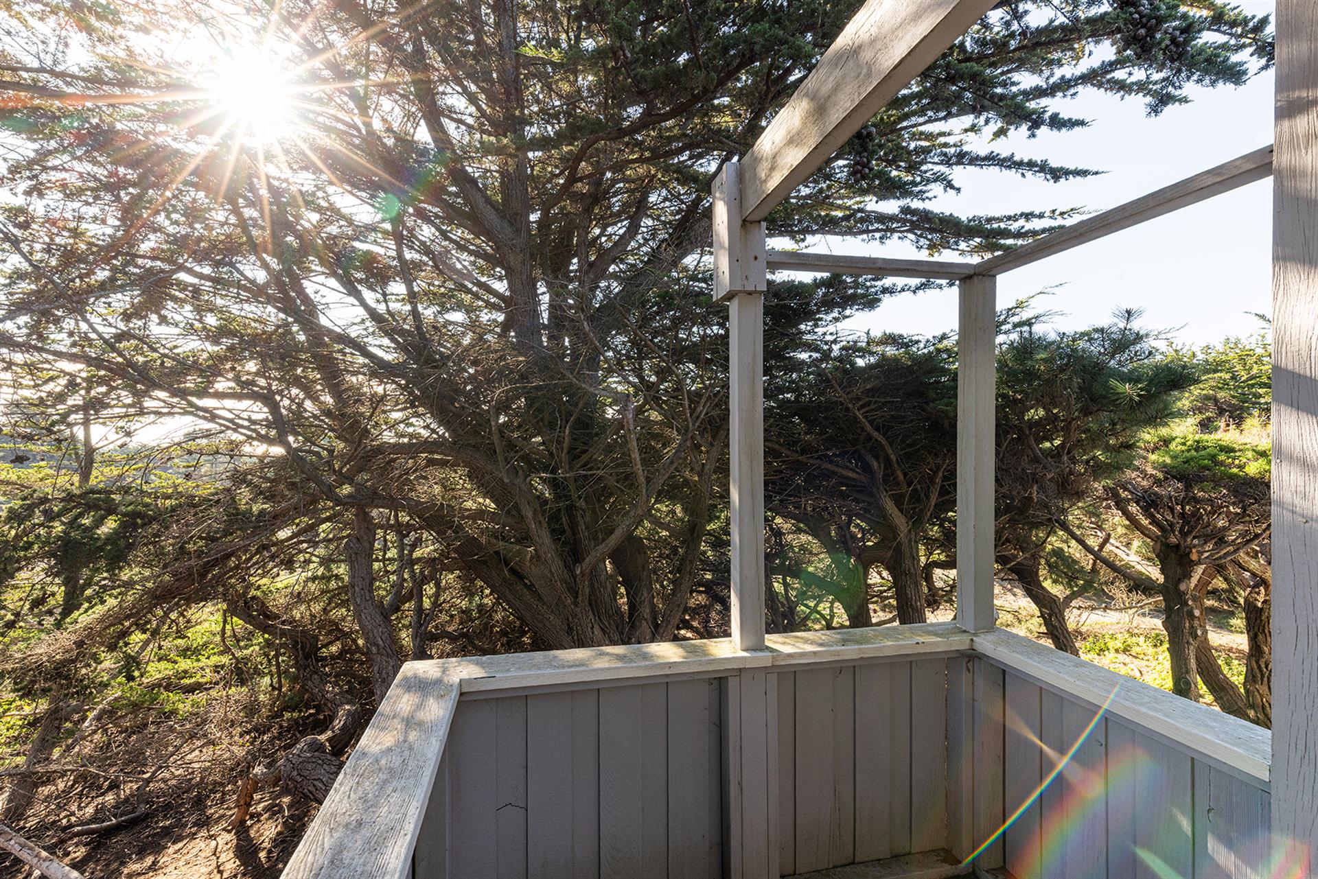 1500 Back Exterior002