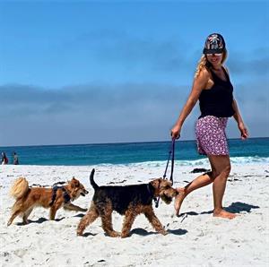 16008 Happydogresize S