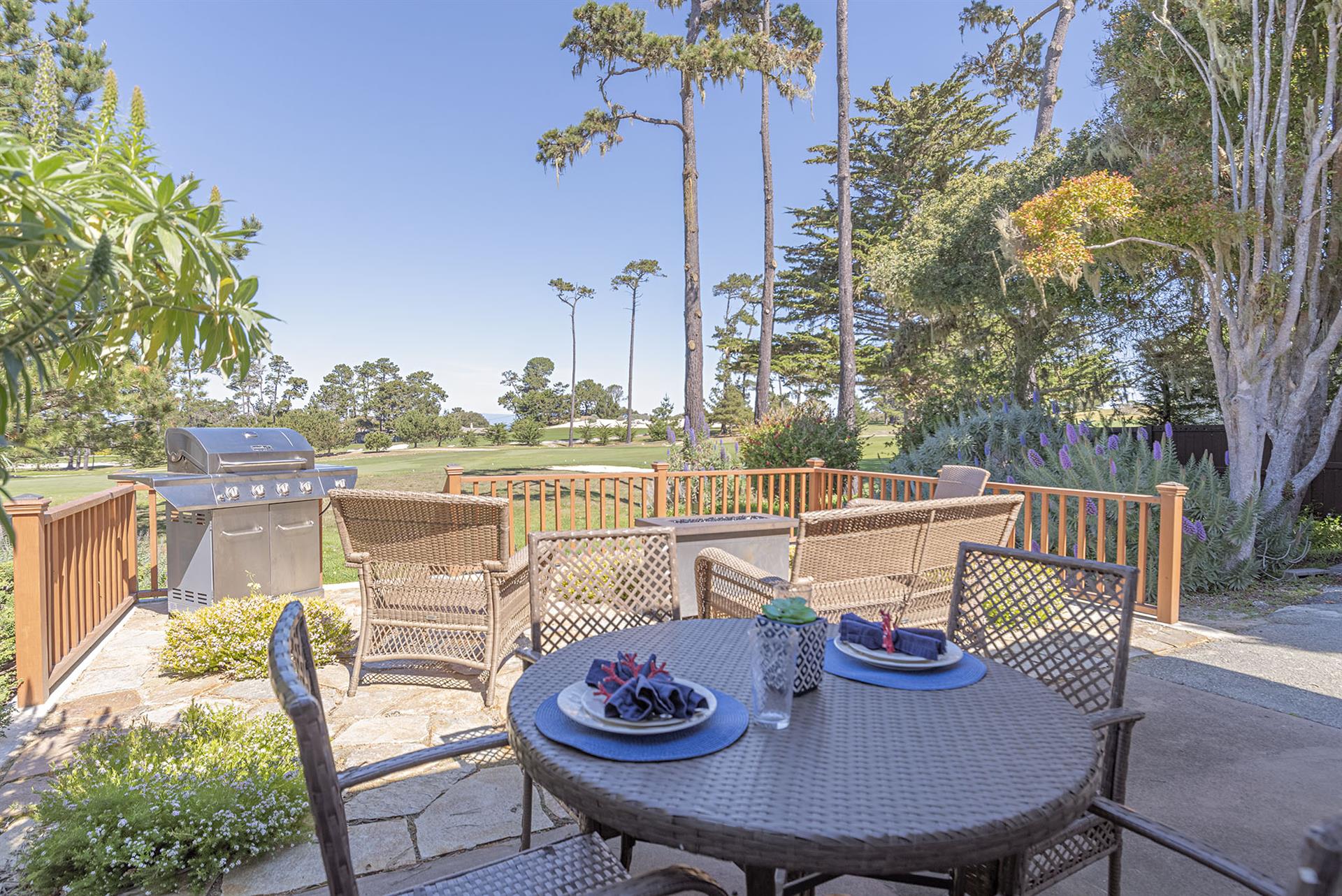 Outdoor Dining with a Gourmet Gas Grill