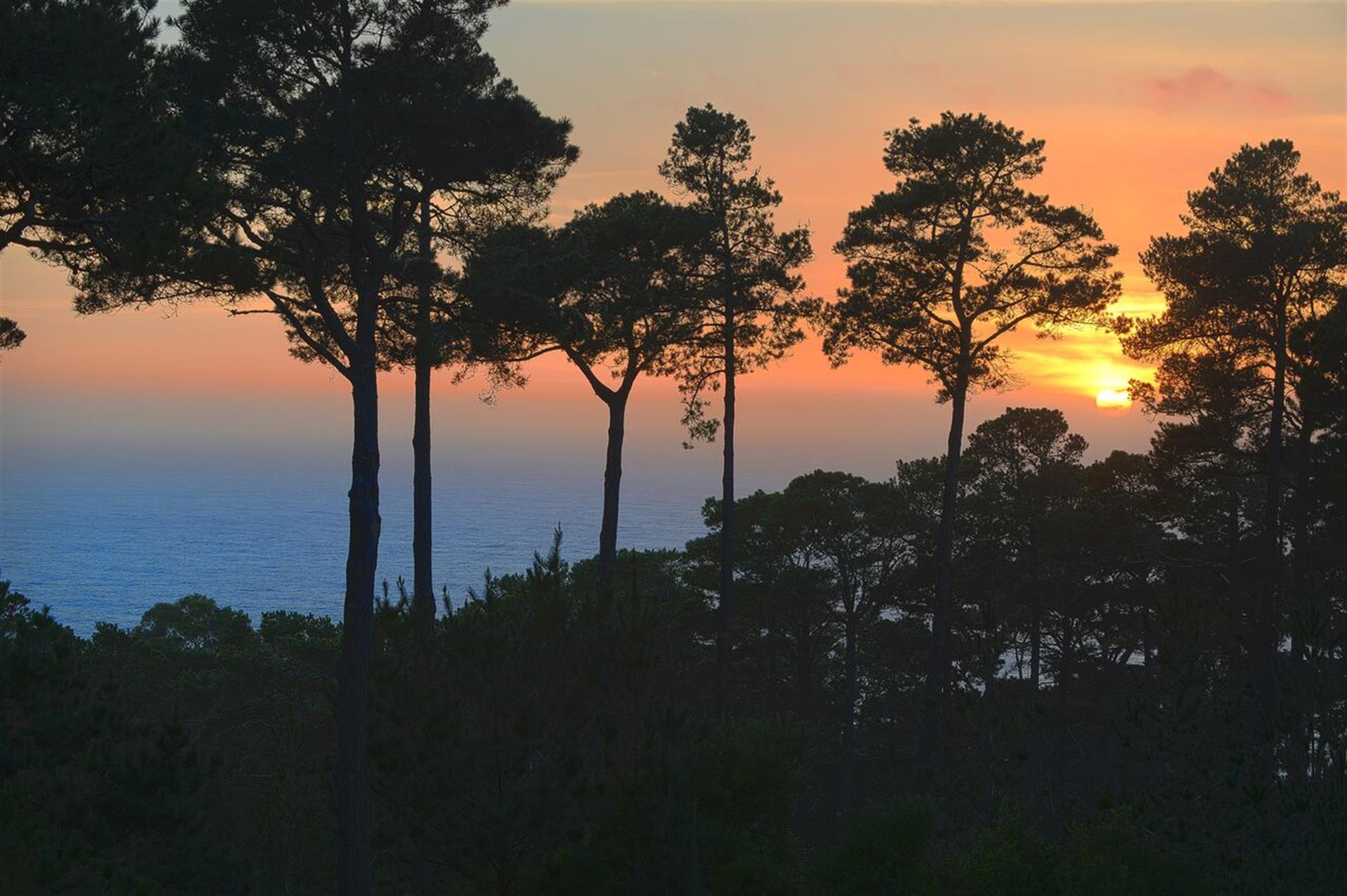 Sunset Views Over the Ocean are Spectacular