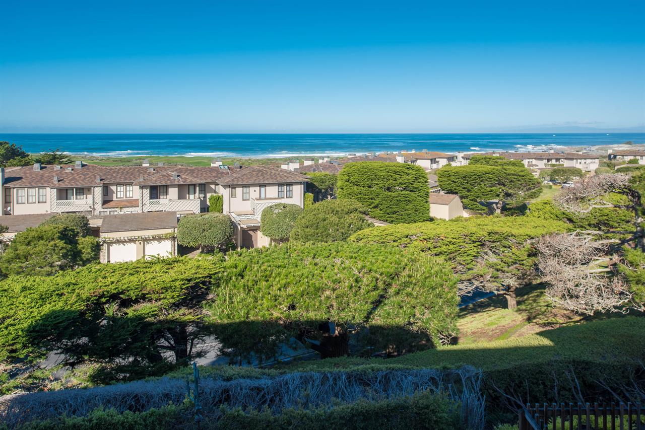 Welcome to Spanish Bay Sanctuary